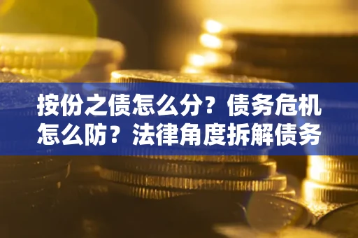 武汉按份之债怎么分？债务危机怎么防？法律角度拆解债务分配与风险自保指南