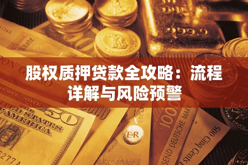 武汉股权质押贷款全攻略：流程详解与风险预警
