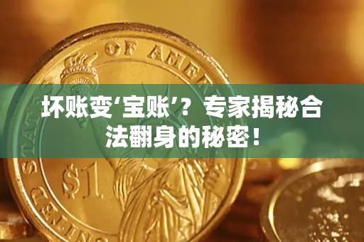 武汉坏账变‘宝账’？专家揭秘合法翻身的秘密！
