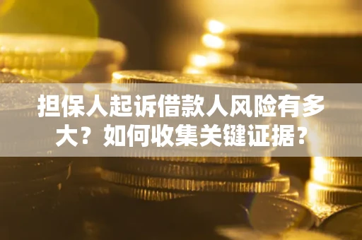 武汉担保人起诉借款人风险有多大？如何收集关键证据？