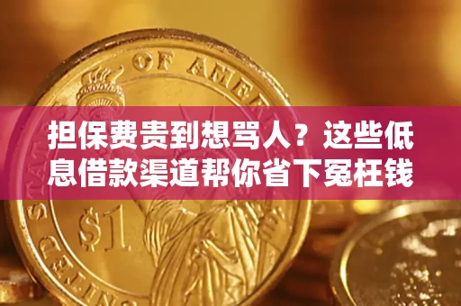 武汉担保费贵到想骂人？这些低息借款渠道帮你省下冤枉钱