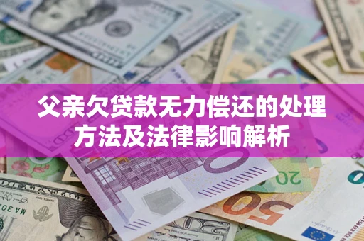 武汉父亲欠贷款无力偿还的处理方法及法律影响解析