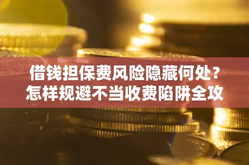 武汉借钱担保费风险隐藏何处？怎样规避不当收费陷阱全攻略！