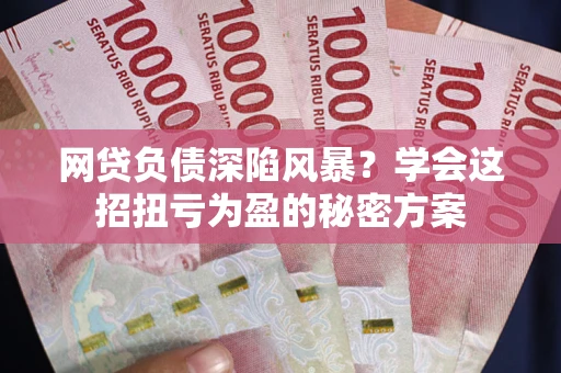 武汉网贷负债深陷风暴？学会这招扭亏为盈的秘密方案