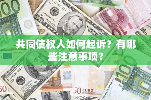 武汉共同债权人如何起诉？有哪些注意事项？